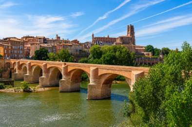 Vue sur le Pont Vieux d'Albi