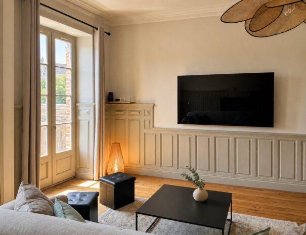 salon-logement-touristique-vue-Pont-Vieux-Albi
